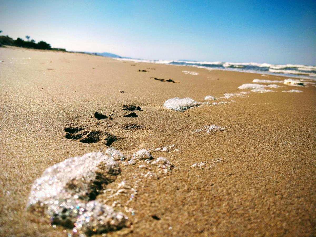 Hello Oliva Beach Ana Dış mekan fotoğraf