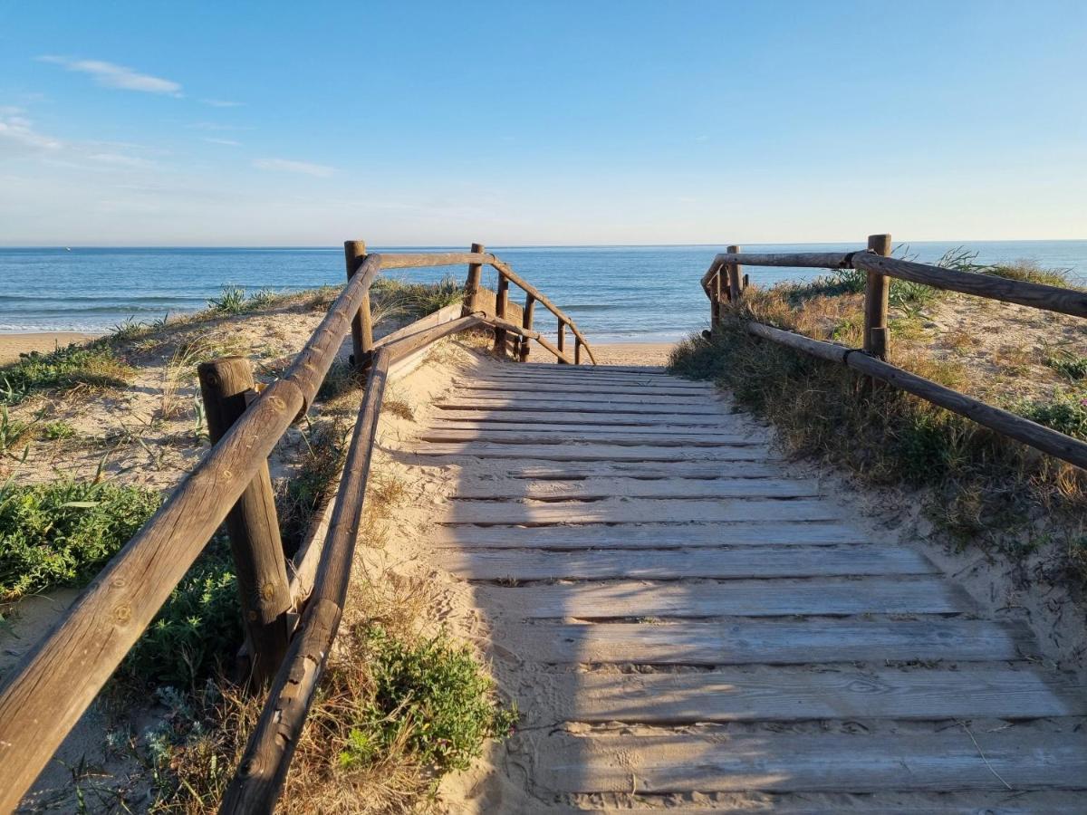 Hello Oliva Beach Ana Dış mekan fotoğraf